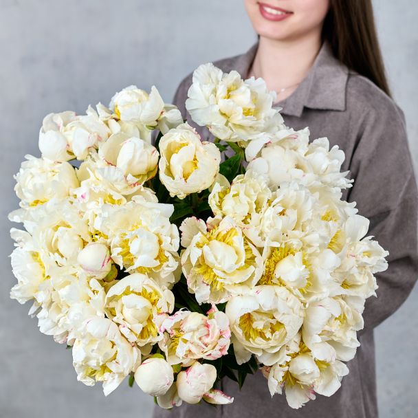 Пионы белые