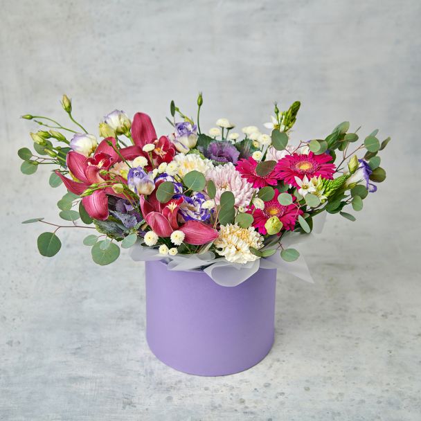 Лесная феерия