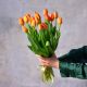 Букет из 17 оранжевых тюльпанов