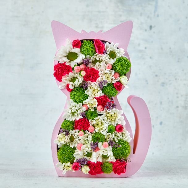 Цветобокс "Кошка"