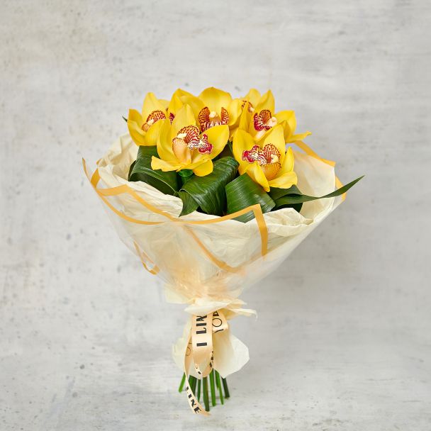 Сердце джунглей